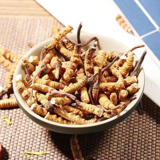 Beijing Tongrentang Quality Cordyceps Lhasa Shipping Authentic Cordyceps Gift Box Pack Broken Cordyceps Dry Gift Gift Box Gift Box 2 1 gram Complete Cordyceps 100 Roots 50 grams in total [Independent Tube Installation]