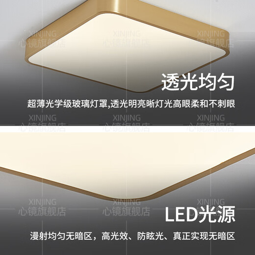 心镜全铜户外吸顶灯别墅超薄入户门灯走廊过道阳台灯露台防蚊虫庭院灯 X3893-600*800/长方形