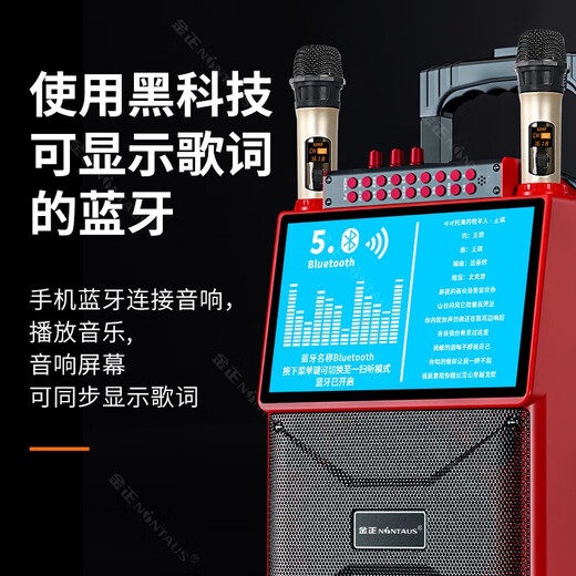 Jinzheng square dance audio with display screen wireless microphone Bluetooth home ktv singing karaoke karaoke machine integrated video outdoor trolley speaker outdoor audio 1033 21# Bluetooth version (without microphone)