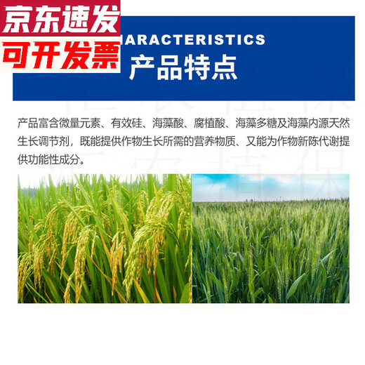 Silicon Fertilizer Organic Silicon Fertilizer Spreading Fertilizer Rice Greening Fertilizer Imported Silicon Fertilizer Granules Silicon Fertilizer for Rice Silicon Fertilizer 1kg