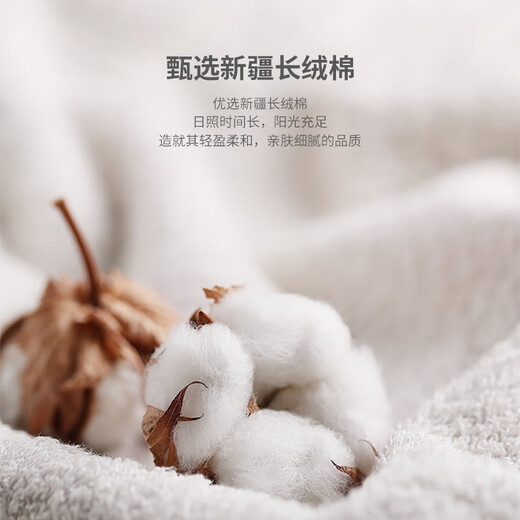 鹿人袜子女5A抗菌情侣船袜夏季薄款防滑浅口透气隐形袜3170.7170 7170-混色-5双装（男款） 均码