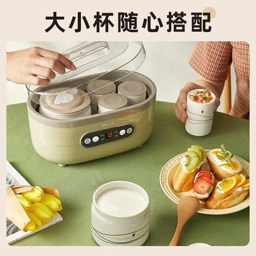 小熊（Bear）酸奶机 家用全自动定时自制米酒机泡菜机 送陶瓷6分杯 微电脑智控免看管
