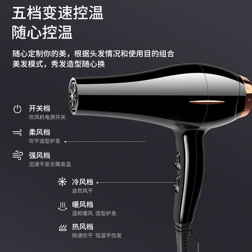 Zaoyu Hair Dryer Hair Salon Special High Wind Negative Ion Hair Dryer Home High Power Barber Shop Blue Light Hair Dryer Constant Temperature Hair Care Large Air Volume Low Noise Quick Drying 2200W Professional Salon High Power Quick Drying Hair Dryer