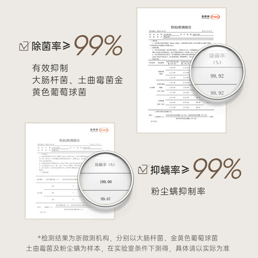 Bear fabric cleaning machine, multifunctional cleaning machine, household carpet washing machine, high temperature steam mite removal cleaning machine, carpet mattress curtain car cleaning tool, large suction power, high temperature steam QXQ-P18D1