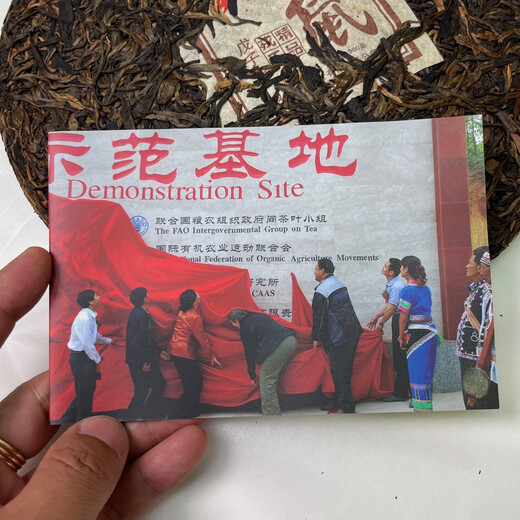 2008 Mengku Rong's Zodiac Rat Cake 900g