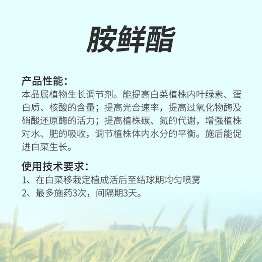 Health Care 8% Aminobutanol Large Colored Wheat Rice Fruit Tree Grape Pepper Flower Preserving Fruit Pesticide Plant Growth Regulator