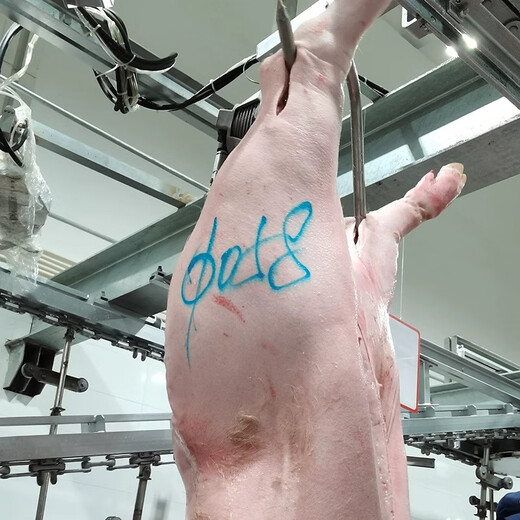 德国原装进口辉柏嘉698猪肉类专用记号笔防水防油猪用蓝色水溶彩铅笔牛羊猪肉标记笔屠宰笔彩色盒装单只 肉类标记笔【1支装】