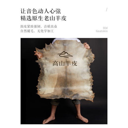 前谷非洲鼓8/10/12寸手鼓丽江手拍鼓儿童幼儿园专用成人打击乐器 大8趣玩鸭+全套-薄款鼓包