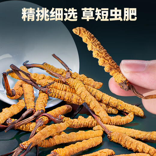 同芙 冬虫夏草3根/g 50g 约150根礼盒装 滋补营养补品送长辈礼品礼物