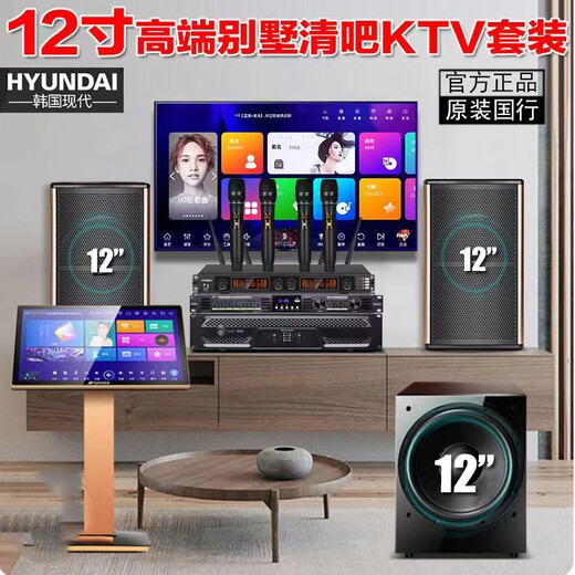 HYUNDAI现代家庭KTV音响套装卡拉OK机家用客厅K歌功放音箱影院点歌机全套 四只十二寸专业歌神版+点歌机+12寸炮