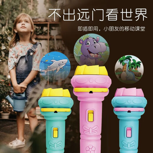 Fan da Sen Kinderprojektion Taschenlampe Spielzeug Baby früh Bildung Luminöses Muster Baby Alphabetisierung Kindergarten Baby überreden Artefakt Blau + Pink + 96 Muster