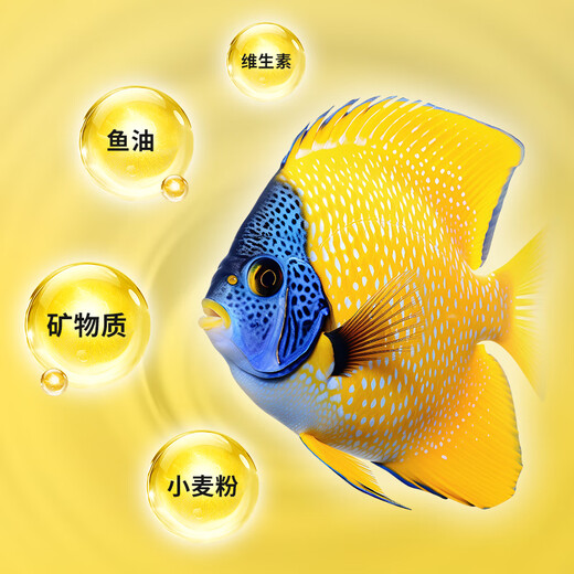 半紫半红鱼食锦鲤金鱼小型鱼专用饲料上浮型颗粒不浑水观赏鱼草金通用鱼粮 三色混合大颗粒1050ml/5-6mm