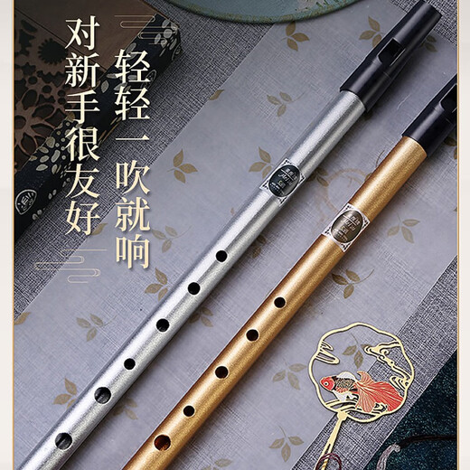 Miaos Irlanda Metal Wilute Flauta Registro para principiantes C-ajuste de C-ajustado Juega profesionalmente Treble Flauta recta Alemana Six Hole C-Tuning Black