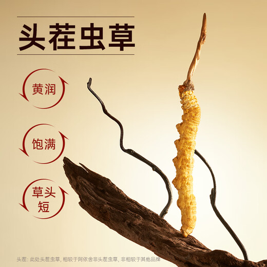 Ayishe Cordyceps Sommer Zuckermüll Geschenk gebrochen Cordyceps schickt Eltern zu den Eltern, um älteren Menschen zu Hause zu helfen, Ernährungs- und Selbstkaufsbox Large Broken Gras 100g [familie erschwingliche Paket] zu verwenden.