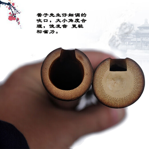 管子先生老紫竹专业演奏一节洞箫琴箫乐器高档大漆紫竹萧箫古风长潇珍品萧 一节八孔F调正手