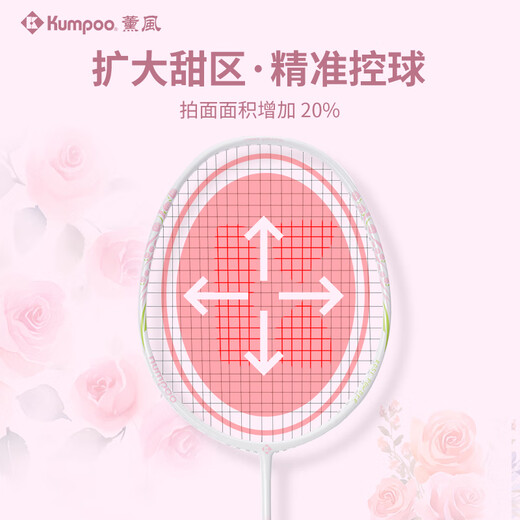 薰风（KUMPOO）新款碳素纤维羽毛球拍RS01对拍超轻熏风k520pro入门初学训练球拍 RS-01对拍 初恋粉+碧落蓝 成品拍