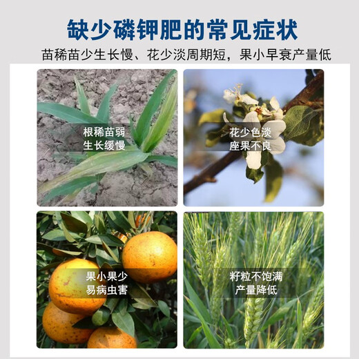 Potassium phosphate foliar fertilizer for agricultural fruit trees and vegetables, fruit expansion, color control, disease resistance, fruit preservation, phosphorus and potassium water-soluble fertilizer 1500g*8 bottles