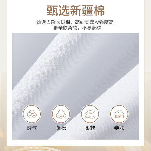 Catman long-sleeved shirt women's white professional 2025 autumn commuting formal professional work clothes white shirt white 38