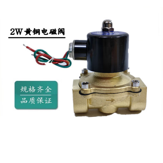 Yuyao Bopu brass wire port solenoid valve 2W type direct-acting solenoid valve AC220V DC24V 2W-500-50 (DC24V normally closed type)