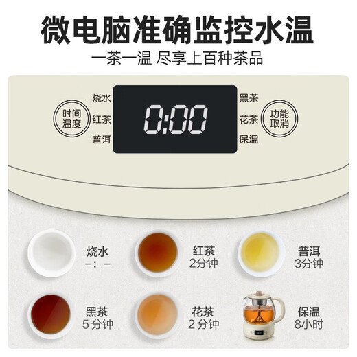 Bear teapot, teapot, flower teapot, health pot, mini thermostatic electric kettle, tea steamer, spray stainless steel kettle, black tea tea set, 1 liter ZCQ-A10W5, upgraded microcomputer, recommended by the store manager 1L