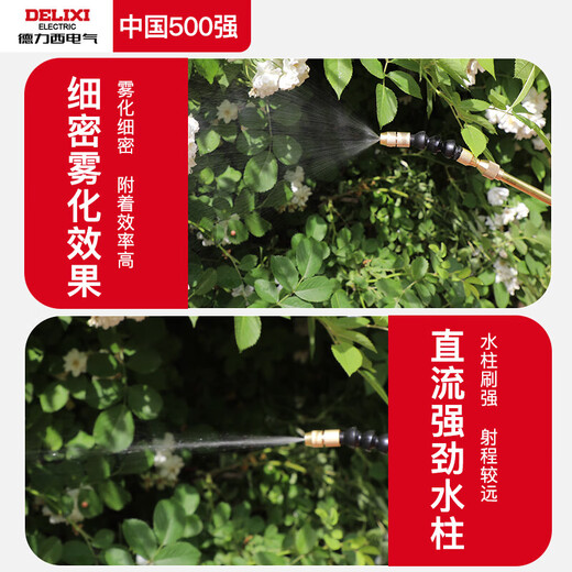 DELIXI ELECTRIC sprayer pesticide manual air pressure spray kettle disinfection sprayer watering kettle gardening flower watering alcohol kettle 8L