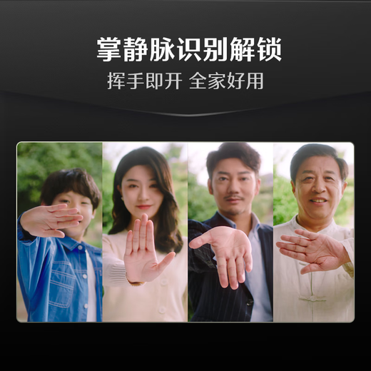 DESMAN smart door lock face palm vein recognition Sentinel visual cat eye large screen electronic lock Kirin Q50FVMax