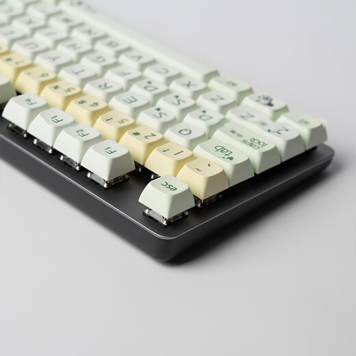 Pipa Bear Logitech 104-Key Mechanical Keyboard Keycap Special Keycap K845/K835/G412/K865 Wear-resistente durchscheinende DIY-Farbinstallation Einfache Silent Cartoon Lady Parcha Dog-Key Cap + Key Puller (Gegenüber)