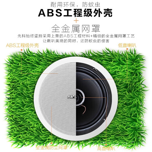 先科（SAST）吸顶式8.1家庭影院音响套装电视机家用客厅吊顶音箱3d环绕立体声嵌入式重低音功放套装蓝牙KTV 4.1（丝膜高音音响4个+低音炮+5.1功放机）