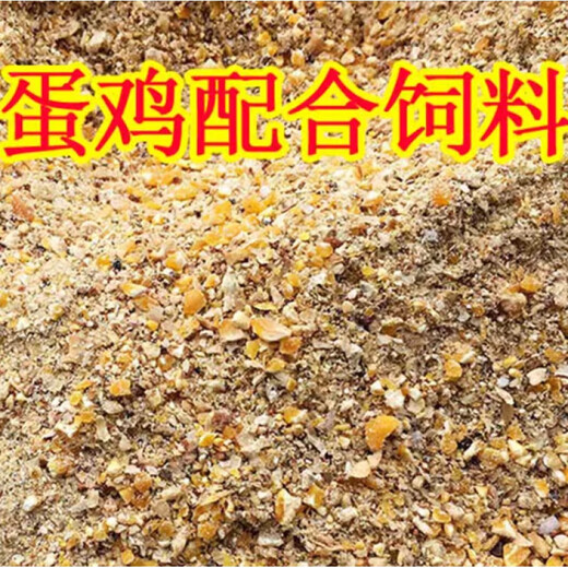 OIMG corn kernels for chicken feed, laying hens, full price feed, chicken, duck, goose, quail, 100 Jin, Jin equal to 0.5 kg, chicken food, 100 Jin, Jin equal to 0.5 kg (nationwide to towns and villages) new store opening (first