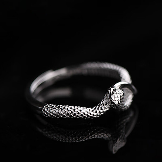 Starlight Silver Rhyme 925 sterling silver snake ring for men and women, light luxury, zodiac sign snake ring new style for lovers and friends, snake ring adjustment range 16-24#