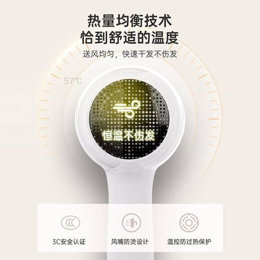 Kangfu hair dryer household high power hair dryer high wind household hair dryer barber shop electric dryer KF-3096 white