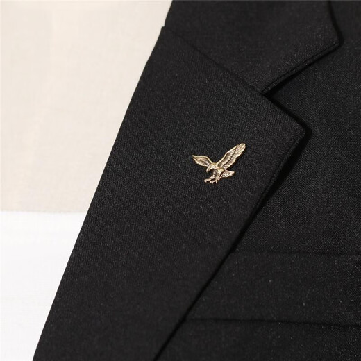 Quamer Old Phoenix Gold Store Personalisierte kleine fliegende Eagle Brosche Männer und Frauen Anzug Brosche Hemdkragen Schnalle Klasse Eagle atemberaubende Pferd Qinggu Flygu Flygle Eagle