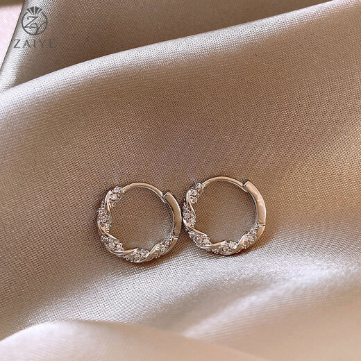 In the wild hoop earrings 2025 new trendy women unique niche unique light luxury high-end earrings simple autumn and winter earrings diamond small earrings gold