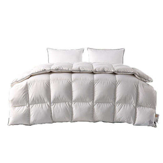 XIAZHEN down quilt 95% white goose quilt core 100 cotton antibacterial anti-velvet warm goose quilt Spring and autumn quilt - recommended room temperature 15-20 200*230CM