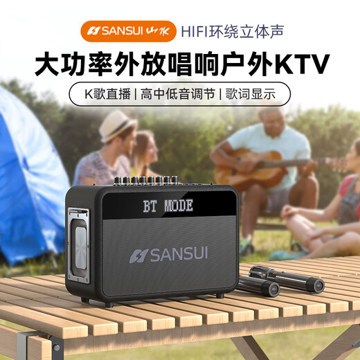 山水（SANSUI）便携式手提音箱广场舞音响音箱带KTV无线话筒小型直播k歌音响移动户外大功率声卡卡拉OK G13【歌词同步+一键消音】