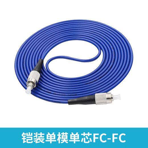 Armored fiber optic patch cord SC to LC-FC-ST rat-proof and tensile-resistant single-mode single-core 10M/30/50m pigtail extension Carrier-grade armored single-mode single-core FC-FC 20m