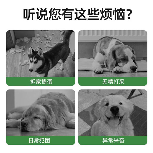 QiOh Dog Toy Ball, Bite Resistant, Self-Happy Toy, Labrador, Corgi Training, Dog Football, Pet Supplies, Size M - Medium and Large Dogs, Thickened Upgraded Model