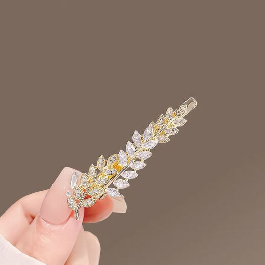 Hongyun Nachahmung Diamant Weizenohr Clip Damen Seitenclip kleine frische Haarspange Temperament Haarspange Stirnband Pony Clip gebrochene Haarspange Weizenohr Seitenclip ein Paar F147
