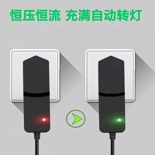 Yue Changsheng es adecuado para el nivel de cargador de láser laise LSG686SPD/686D/649SPD/666SL CARGADOR LSG686SD CARGADOR