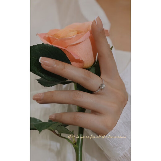 AVHE platinum set with artificially cultivated diamonds, D color bull head micro-set small diamond ring, platinum gift box, wedding gift, Chinese Valentine's Day, platinum, bull head micro setting + 20 points D color cultivated diamonds