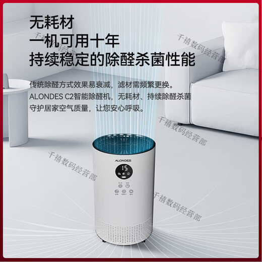 Olandes Air Purifier Small Purifier New House Urgent Move-in Home Formaldehyde Removal Artifact C2 C2