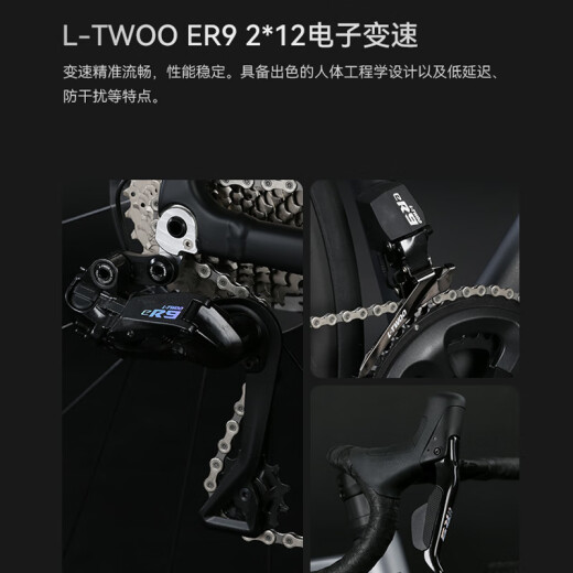 喜德盛【门店提车】公路自行车AD500电子变速油碟刹桶轴24速碳纤维前叉 鸽子灰/黑 480mm