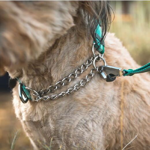 Lovewell Ryan off half P chain dog collar large dog neck collar training imported pet supplies Mochi blue M