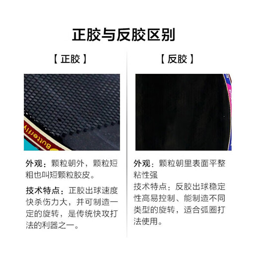蝴蝶四星级乒乓球拍直拍反胶正胶皮组合单拍403 内附拍包