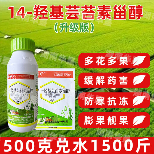 14-Hydroxybrassinosteroid relieves phytotoxicity, cold-proof and frost-resistant rice plant crop growth regulator 100 ml 14-Hydroxybrassinosteroid *1 bottle