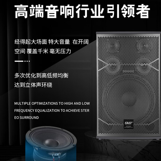 先科家庭ktv音响套装点歌机卡拉ok点唱一体机全套会议室家用家庭影院K歌全套电视客厅专业唱歌组合音箱 专业12寸10单元+功放+充电话筒+500G点歌机