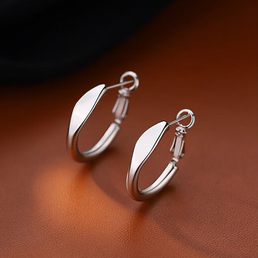 Idel hoop earrings for women 2025 new high-end earrings light luxury niche earrings birthday gift E3487 earrings