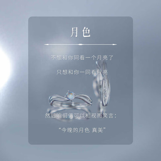 Dirholl Moonlight Platinum Ring PT950 Couple Ring, Birthday and Anniversary Gift for Wife, Luxury Customized Model - Moonlight Pair of Rings - Can be Engraved