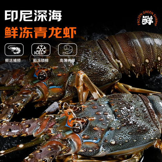 Mr. Fish Seller Indonesian live frozen blue lobster 200-300g/piece Extra large lobster Hualong seafood water produces fresh shrimp