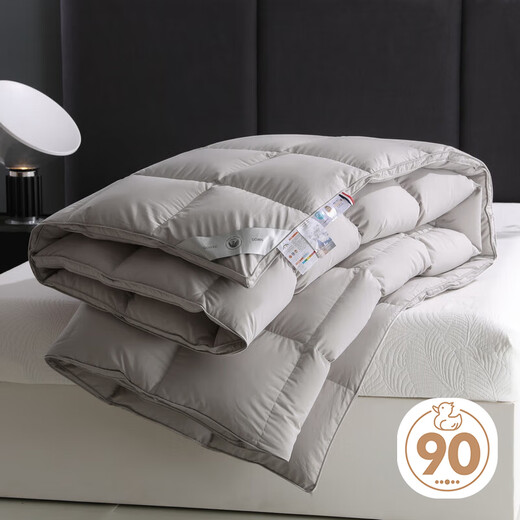Antarctic 90% white duck down winter quilt filled with 2Jin [Jin equals 0.5 kg] 200*230cm gray cm gray